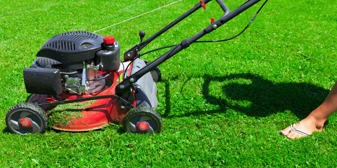 Types of Lawn mowers 1 Types of Lawn mowers