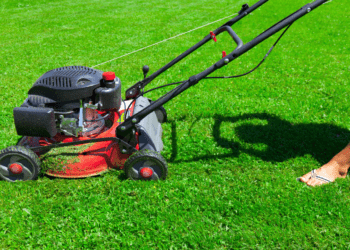 Types of Lawn mowers