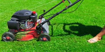 Types of Lawn mowers