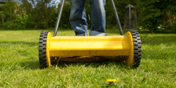 Lawn Mowing Guide For Beginners