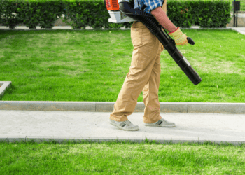 Best backpack leaf blowers
