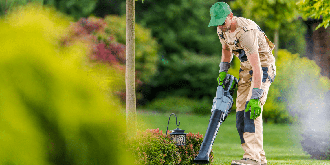 Best Battery Operated Leaf Blowers in USA – Top 9 List 1 Best Battery Operated Leaf Blowers