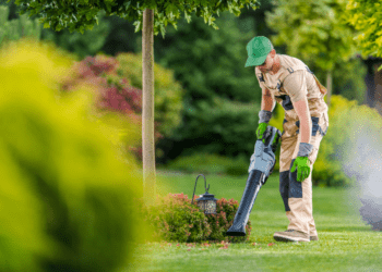 Best Battery Operated Leaf Blowers in USA – Top 9 List 7 Best Battery Operated Leaf Blowers