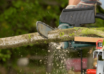 How to Cut Wood Slices with Chainsaw