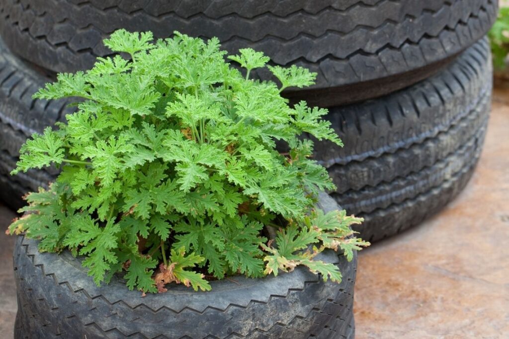 Recycled Tire Tubs