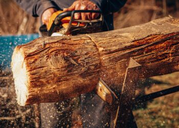 Best Chainsaw for cutting Firewood