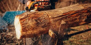 Best Chainsaw for cutting Firewood