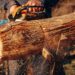 Best Chainsaw for Cutting Firewood – Buyer’s Guide 8 Best Chainsaw for cutting Firewood