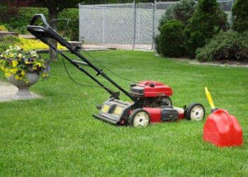 Best Lawn Mowers