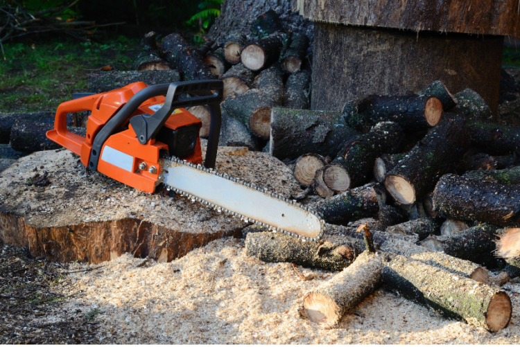 Arborist Chainsaw Maintenance Tips - Power Tools Reviewed