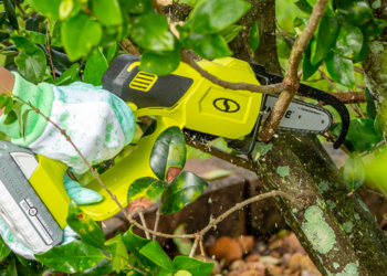 Mini Chainsaws guide to choose