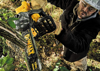 Small Chainsaw for Your Garden